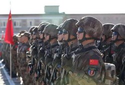 娱乐吃瓜酱军队,揭秘娱乐圈背后的神秘力量